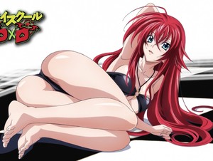 High School DxD Fanservice Compilation