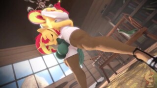 Mlp Compilation
