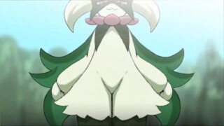 Domiskebet Compilation