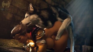 Dog Compilation 1