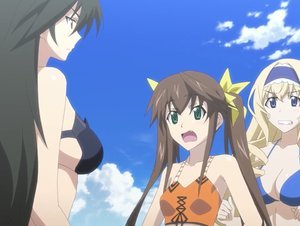 IS: Infinite Stratos Fanservice Compilation