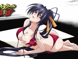 High School DxD New Fanservice Compilation